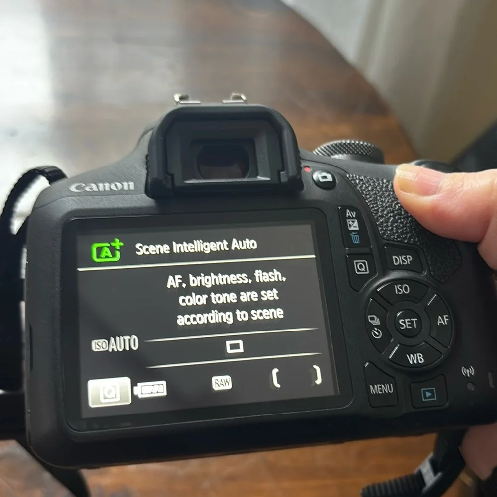 Canon EOS Rebel T7 W/ 50mm lens